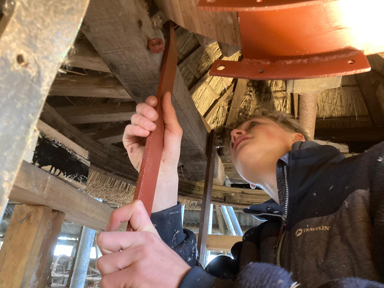 Conference Managing Health and Safety Risks in your Mill - November 21, 2024
